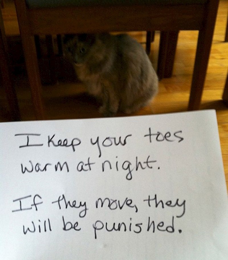 Grijem tvoje nožne prste noću, a ako se pomaknu- kažnjavam ih!
