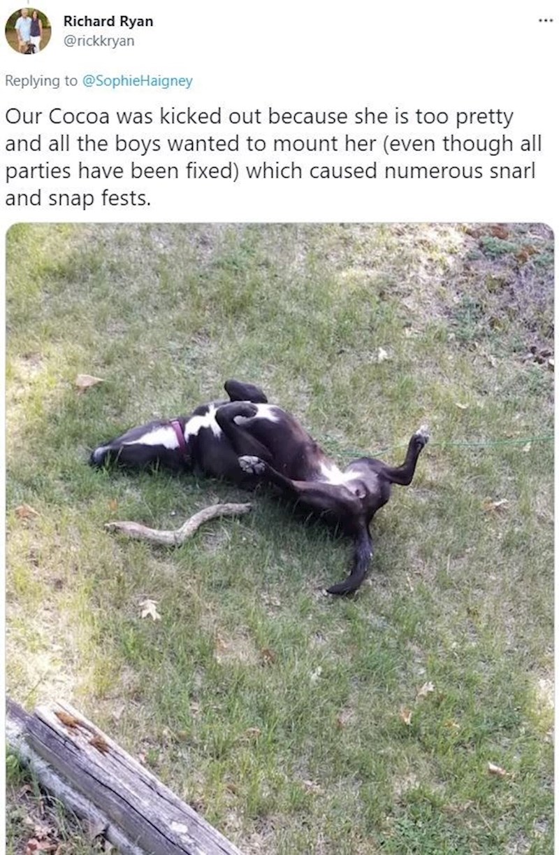 Bila je prelijepa i svi su je dečki htjeli za sebe pa su nastali problemi!