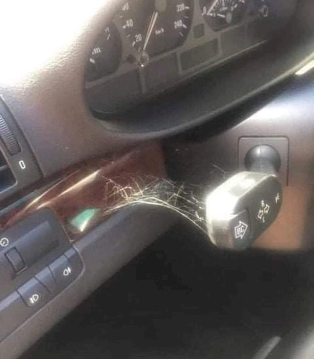 Žmigavci u BMW-u:
