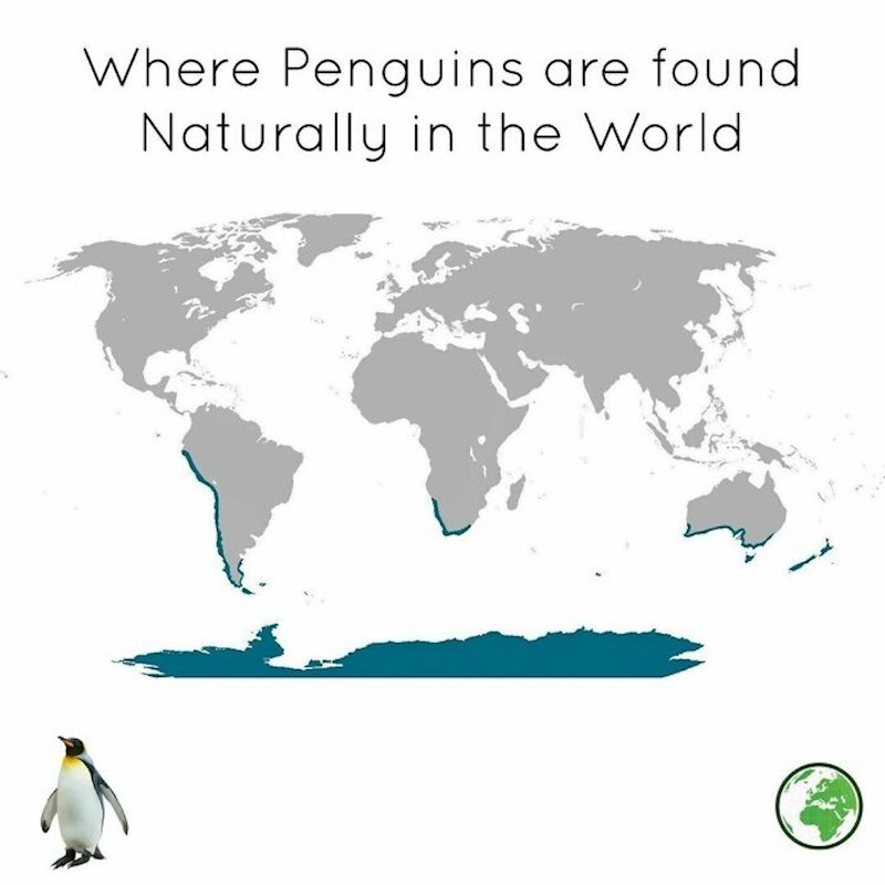 A stanište pingvina označeno je plavom!