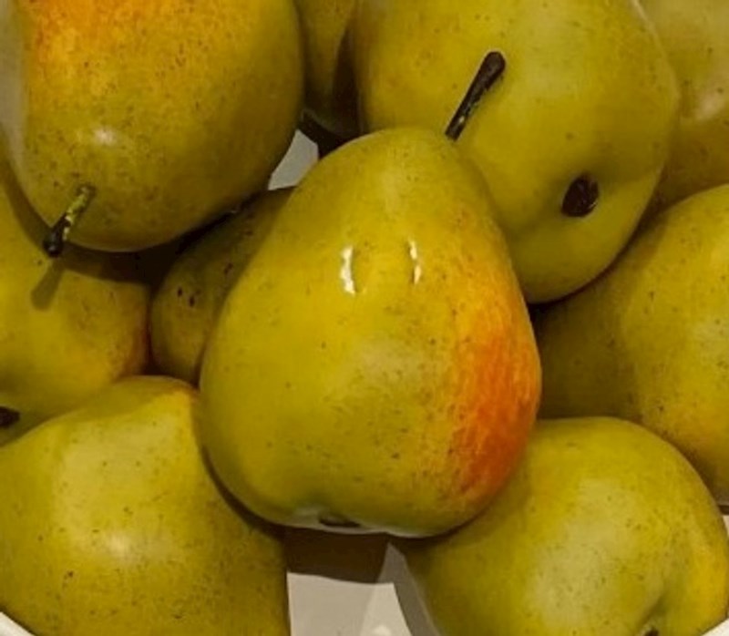 Klinac je pokušao zagristi umjetnu krušku