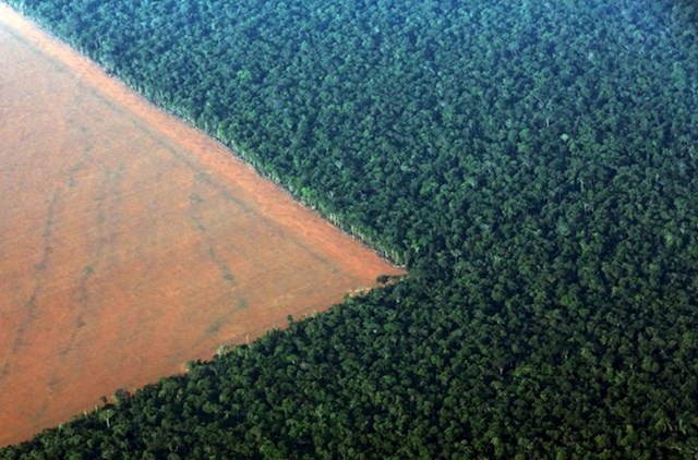 Ovim tempom, čovječanstvo će uništiti šume do 2040. godine. Na slici je prikazano uništenje amazonske prašume