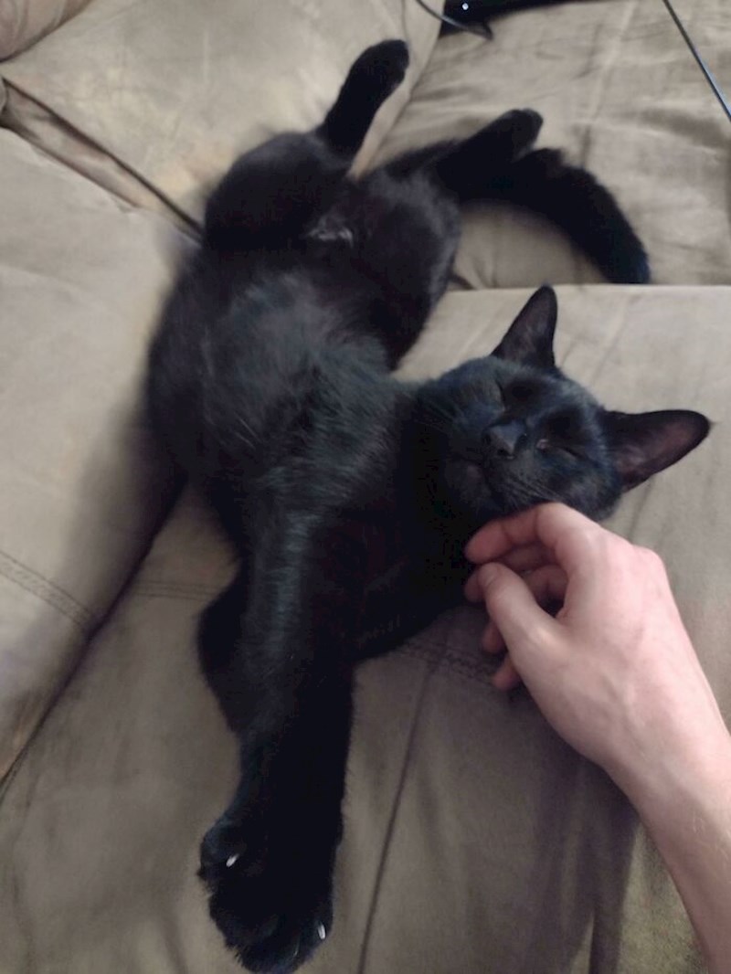 Prvi tjedan da je s nama, a već je zavladala svim ukućanima