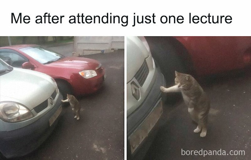 U potpunosti je razumijemo