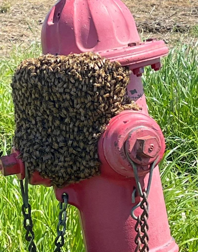 Malo stravično, ali fascinantno