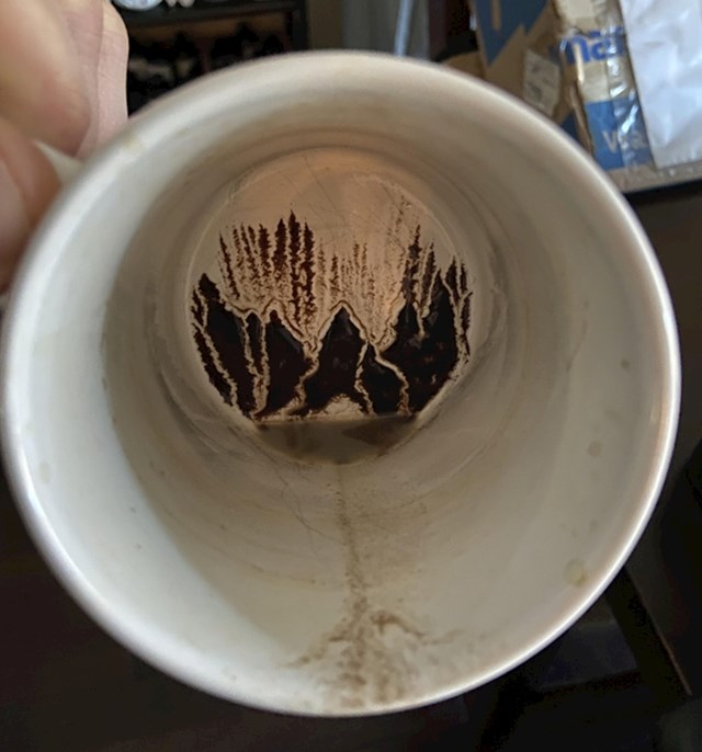Talog kave koji izgleda kao šuma