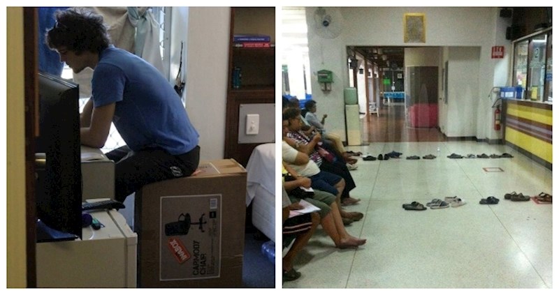 18 najljenijih lijenčina koje će vas istovremeno oduševiti i iznervirati svojim potezima