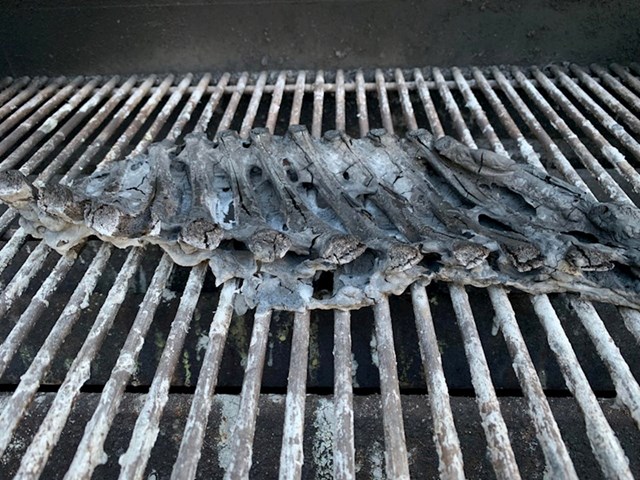 Netko je zaboravio da je ostavio rebarca na grillu