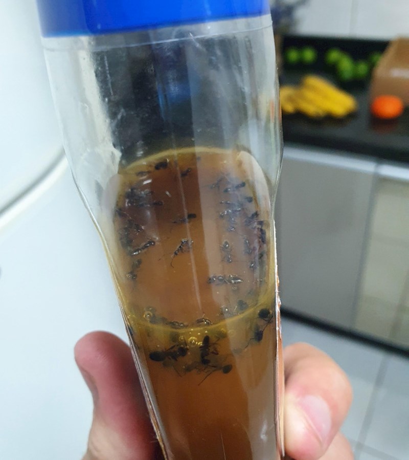 "Ništa od mog sladoleda s preljevom od karamele kojeg sanjam cijeli dan"