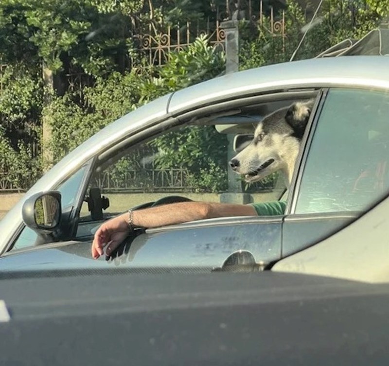 Ni njemu se ne ide na posao