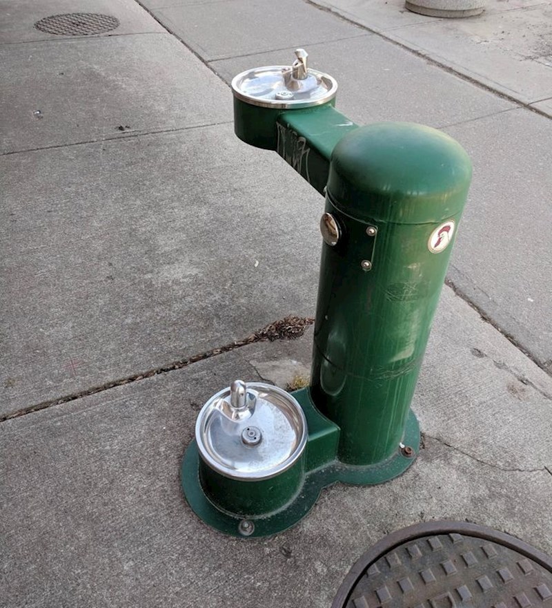 Grad koji misli na svoje četveronožne stanovnike, te im je omogućio osvježenje na svakom koraku