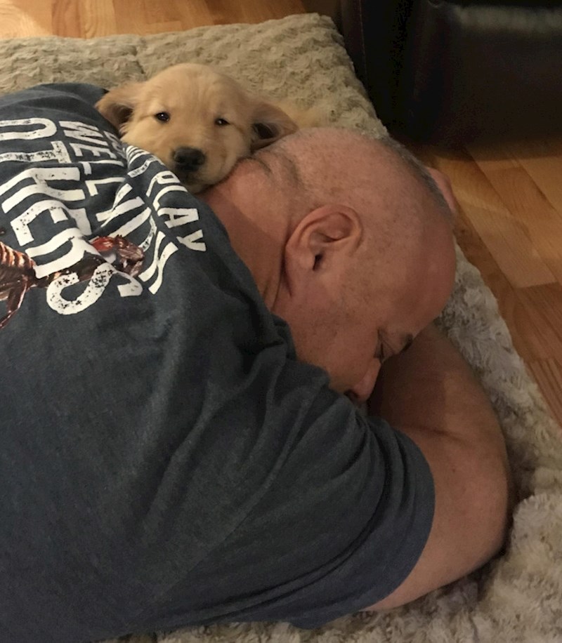 Nakon dvije godine moljenja, mama je napokon dopustila tati da udomi psa