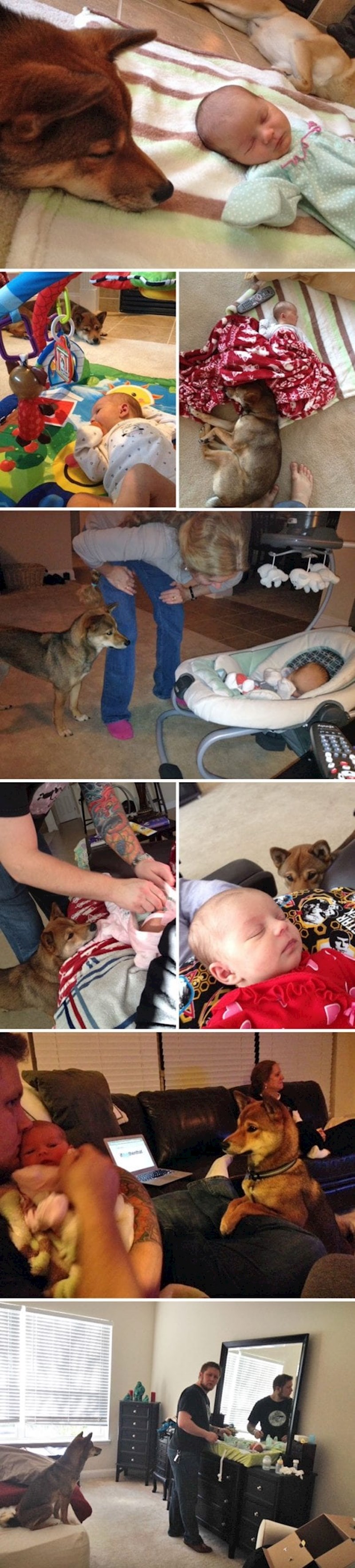 "Mislimo da naš ljubimac misli da je ovo njegova beba"