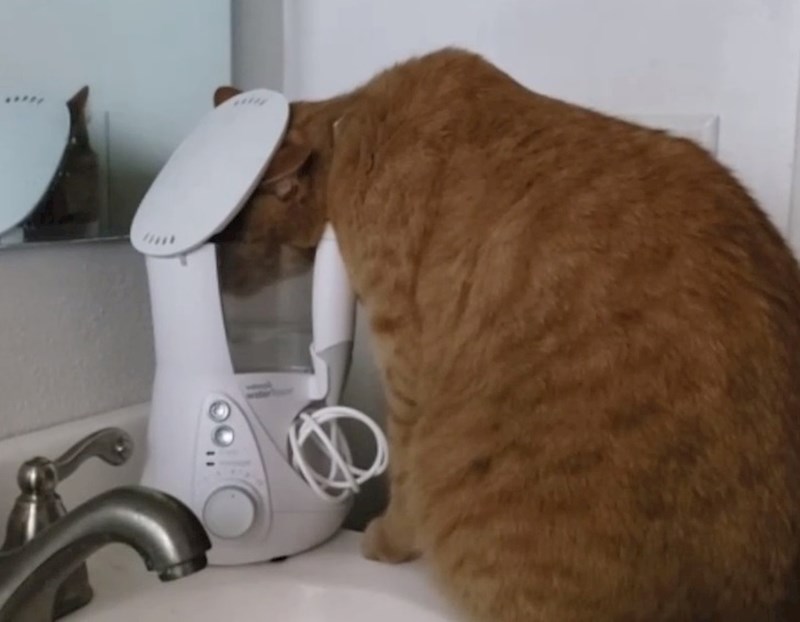 4. "Pitala sam se kako to da je poklopac stalno otvoren!"