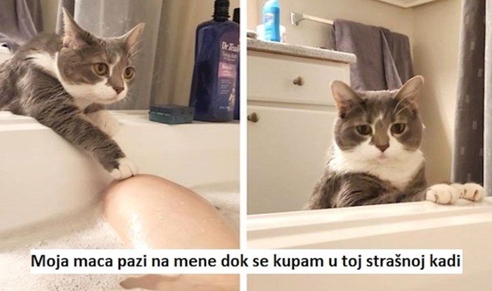 20 puta kada su ljudi uhvatili trenutke u kojima je vidljiva sva privrženost ljubimaca prema njima