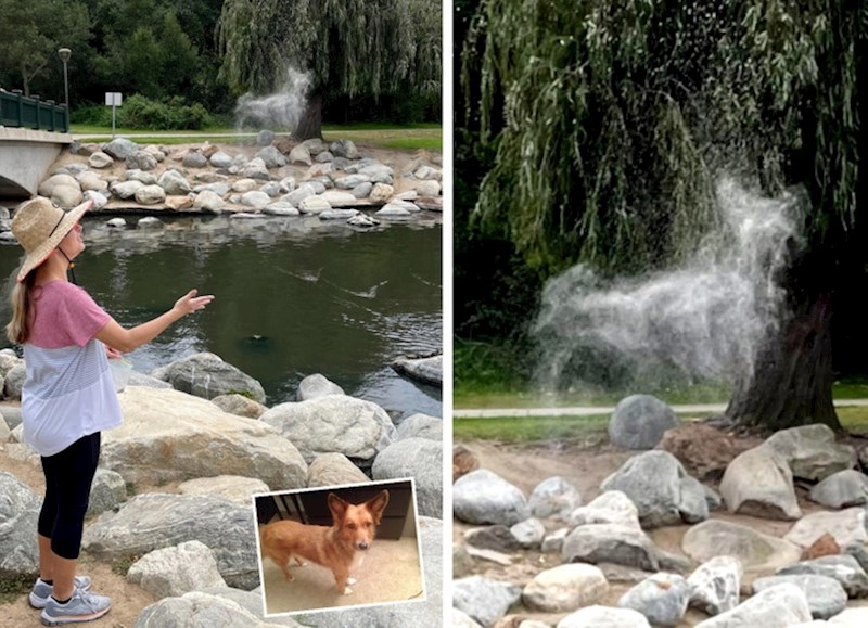 Oni nas, zapravo, nikad ne napuštaju. Pogledajte kako se rasuo pepeo mog psa u njegovom omiljenom parku