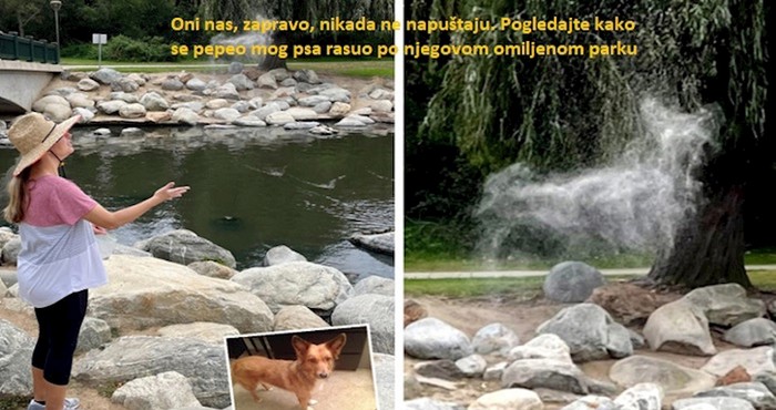 13 dirljivih slika koje će vam zagrijati srce brže od sunca