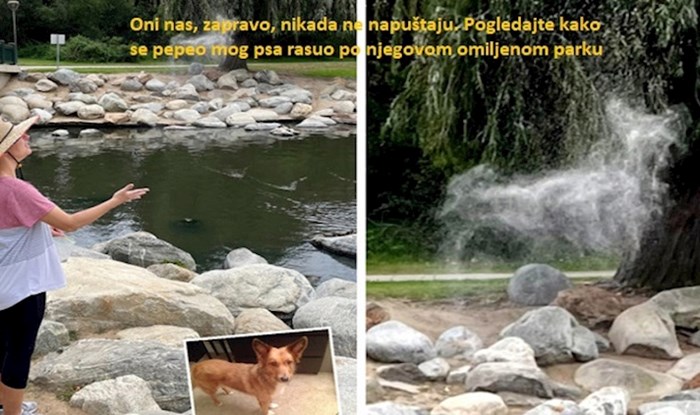 13 dirljivih slika koje će vam zagrijati srce brže od sunca