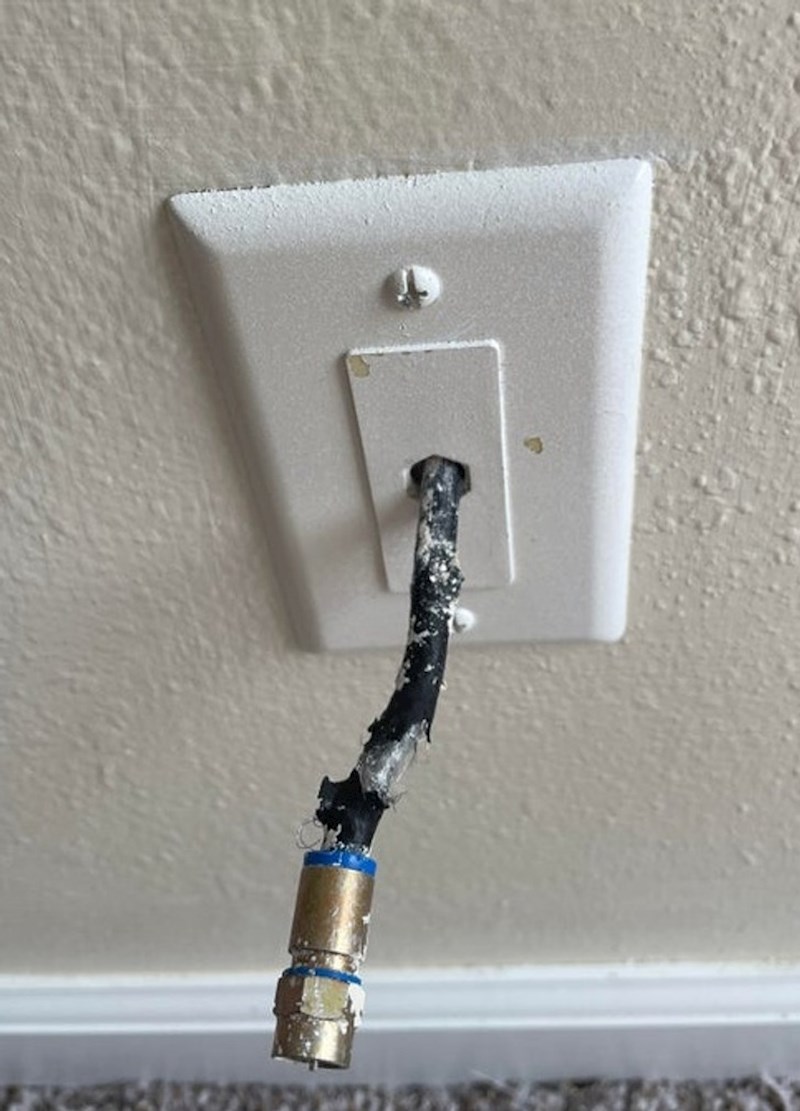 Čujem pas se zabavio oko nečega... Najmodavac će me ubiti!