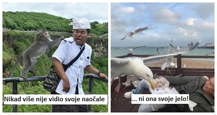 14 puta kada je kaos čekao iza ugla; urnebesne fotke uhvaćene sekundu prije katastrofe