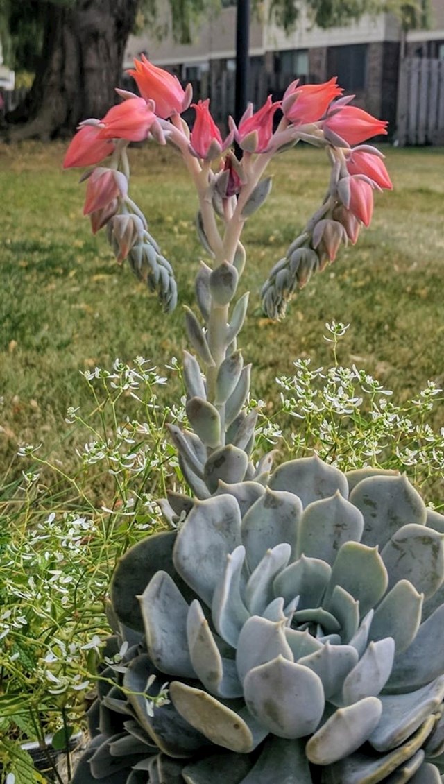 12.