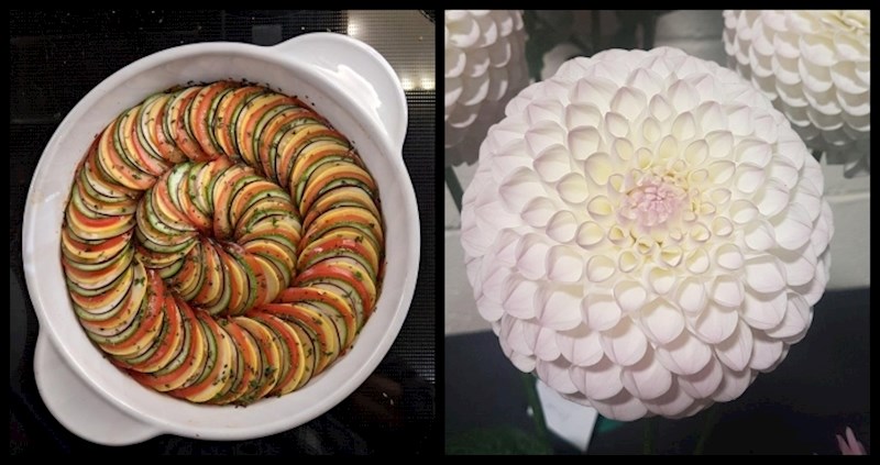 14 dokaza da savršenstvo postoji; pogled na ove fotke kao da ima terapeutski učinak!