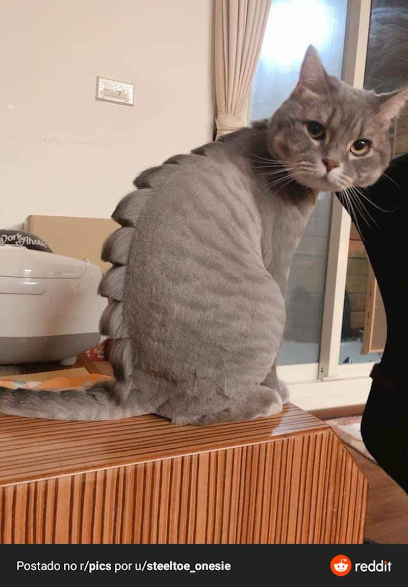 6. Nešto nam govori da nije baš zadovoljan