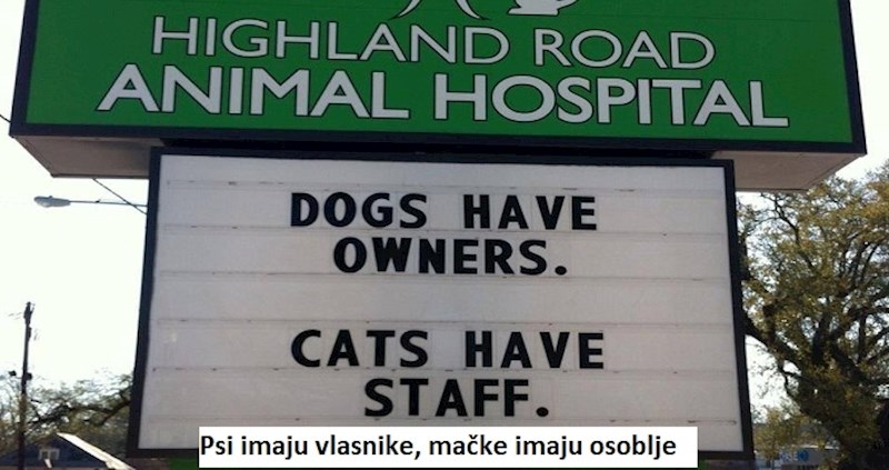 10 puta kada su veterinari imali najsmješnije reklame koje će vlasnici ljubimaca odmah razumjeti