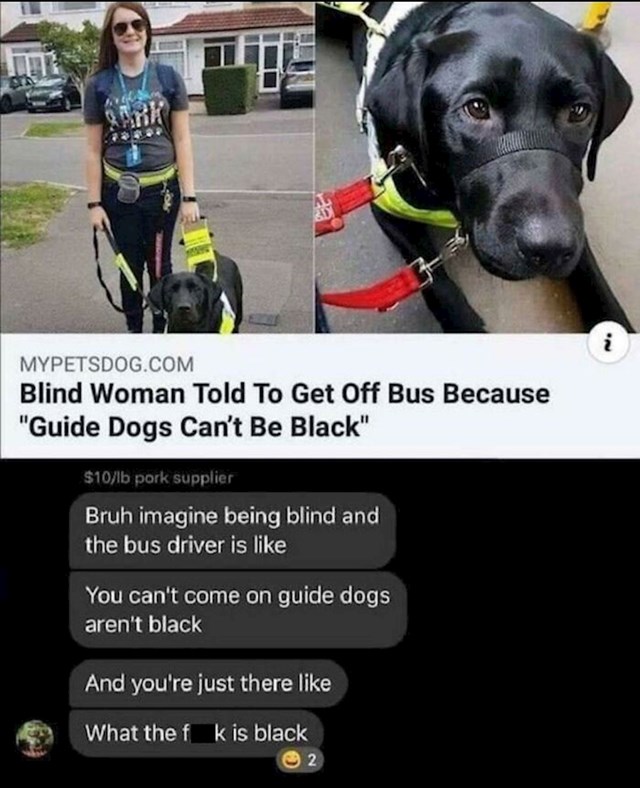 1. Psa vodiča i njegovu slijepu vlasnicu nisu pustili u autobus jer je vozač smatrao da oni ne mogu biti crni...