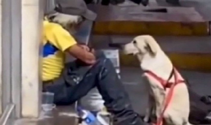 VIDEO Pas je prišao beskućniku, ono što je onda napravio ganut će vas do suza