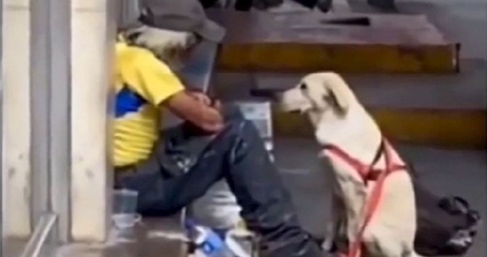 VIDEO Pas je prišao beskućniku, ono što je onda napravio ganut će vas do suza