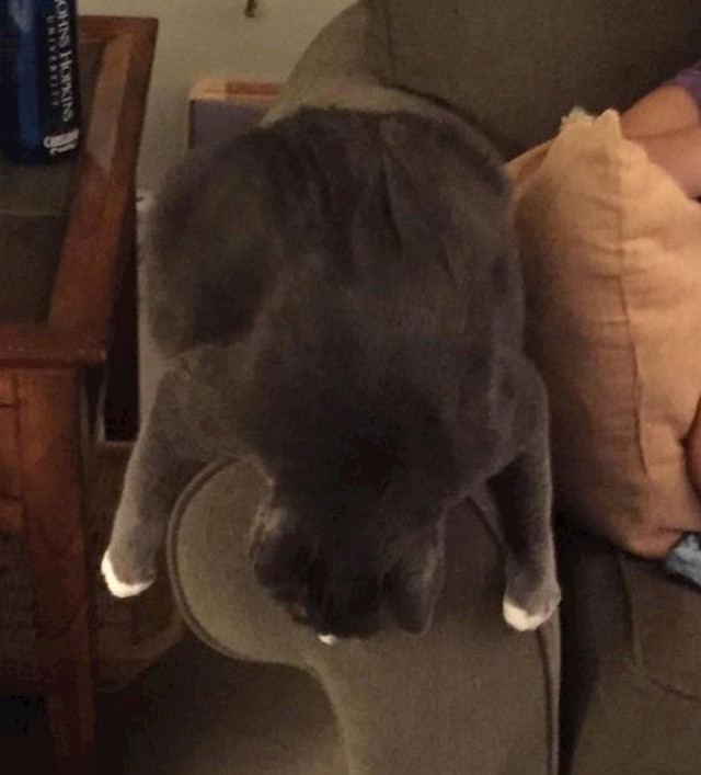 12.