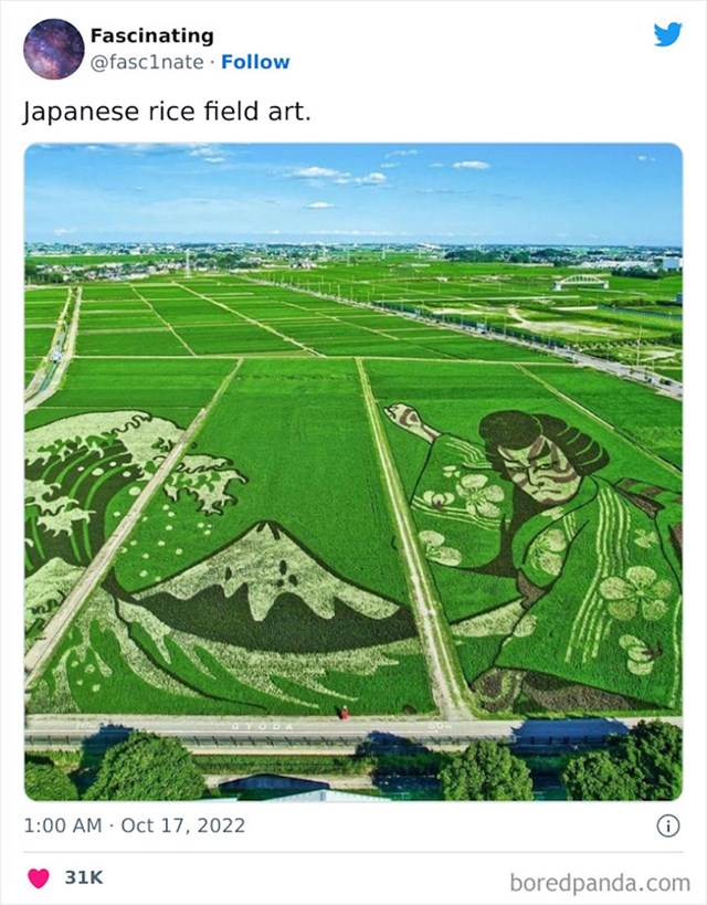 Umjetnost u poljima riže- Japan