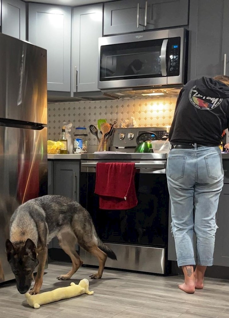 5. Ne, mačka nije u mikrovalnoj