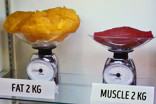 2 kg masnog tkiva vs. 2 kg mišićne mase