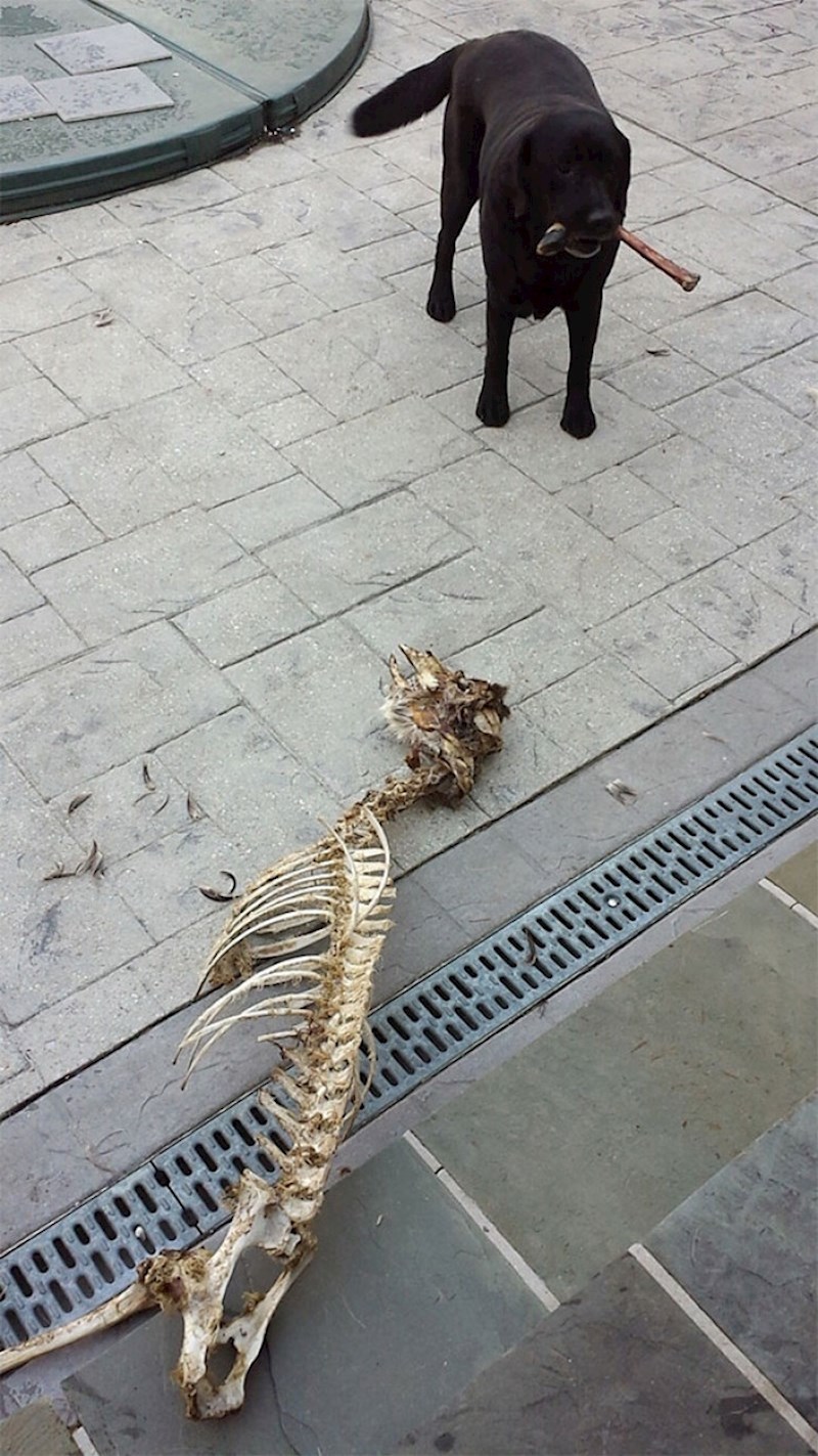 6. Nikome nije jasno kako