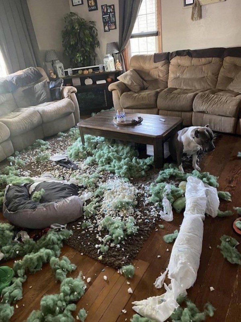 Jadničku sa slike je ipak najteže