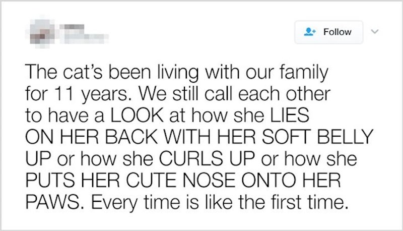 18. Svaki vlasnik kućnih ljubimaca će se prepoznati u ovome!