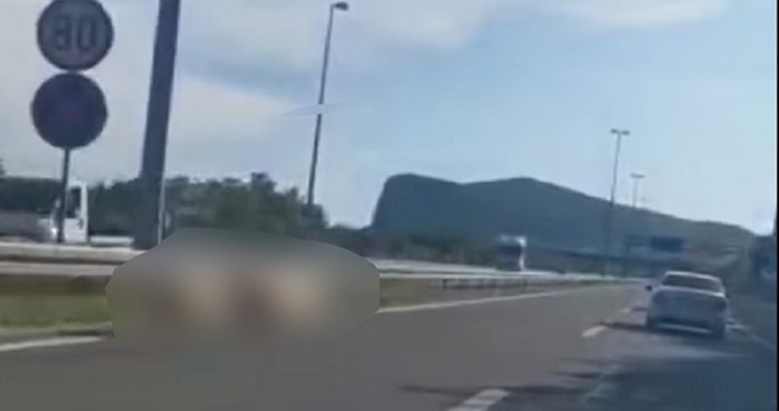 Neobično društvo snimljeno na ulazu u grad; tko je to požurio slaviti produljenje rada kafića?