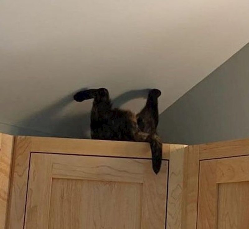 Nismo sigurni što se tu događa...