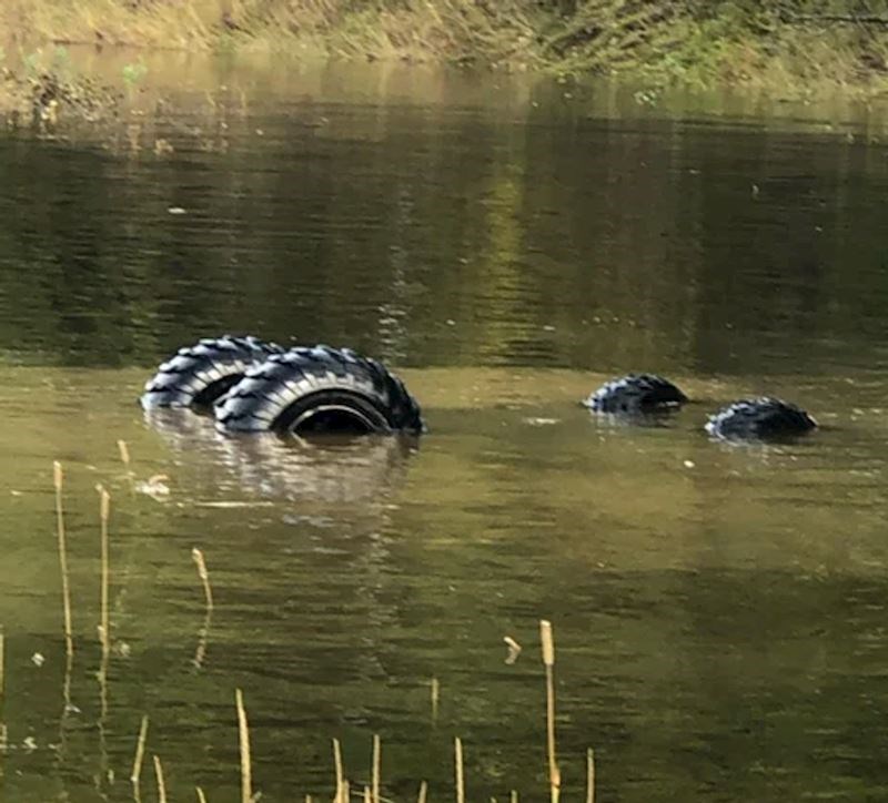 Potopio sam quad dok sam tražio mobitel koji mi je ispao u vožnji