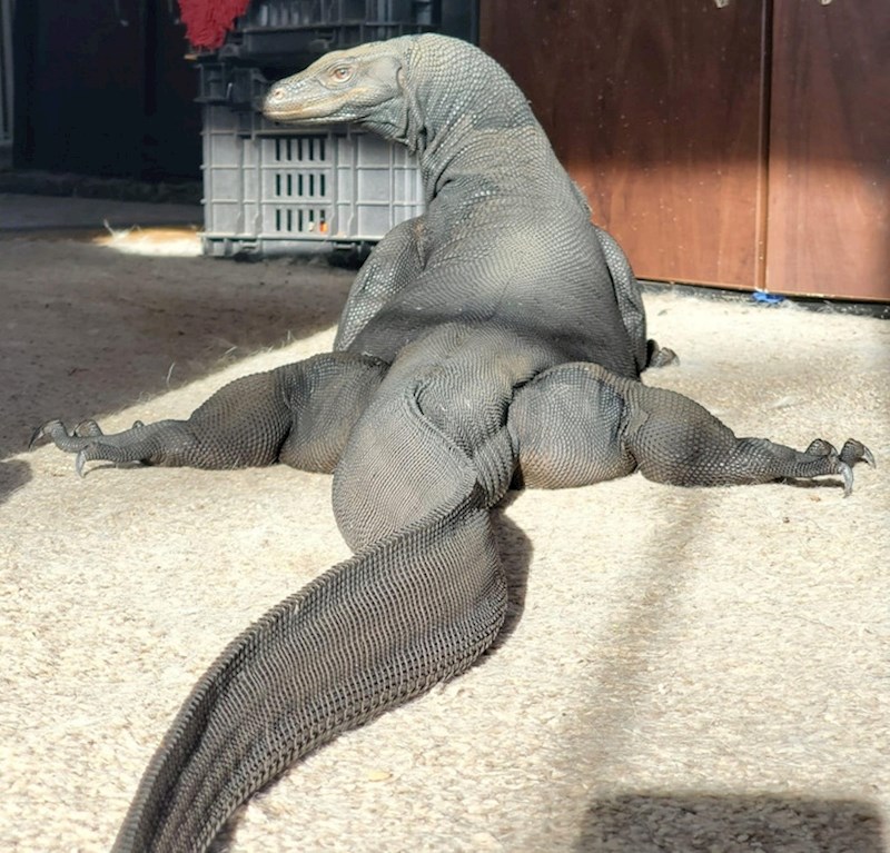 "Danas učimo neke nove poteze"