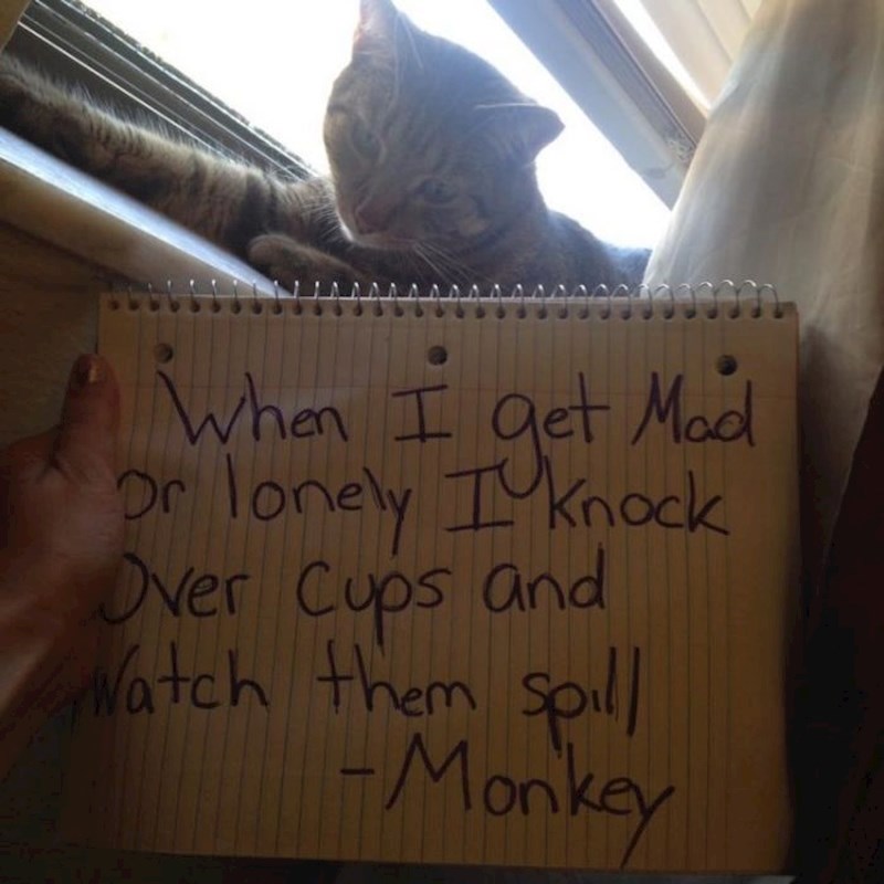 Kada sam ljut ili usamljen, bacam čaše i gledam kako se prolijeva tekućina iz njih