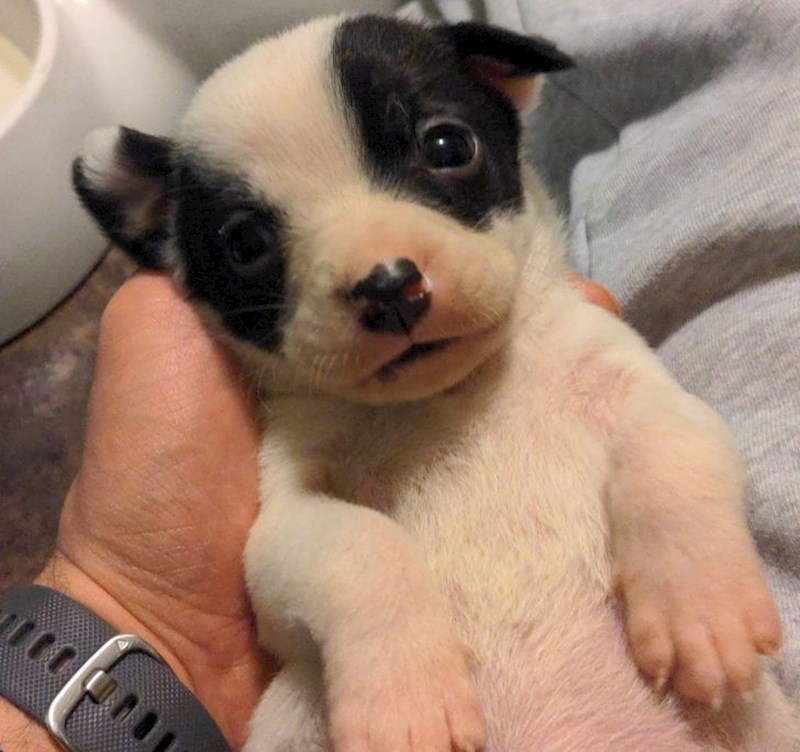 4. Pogled od kojeg se topi sve!