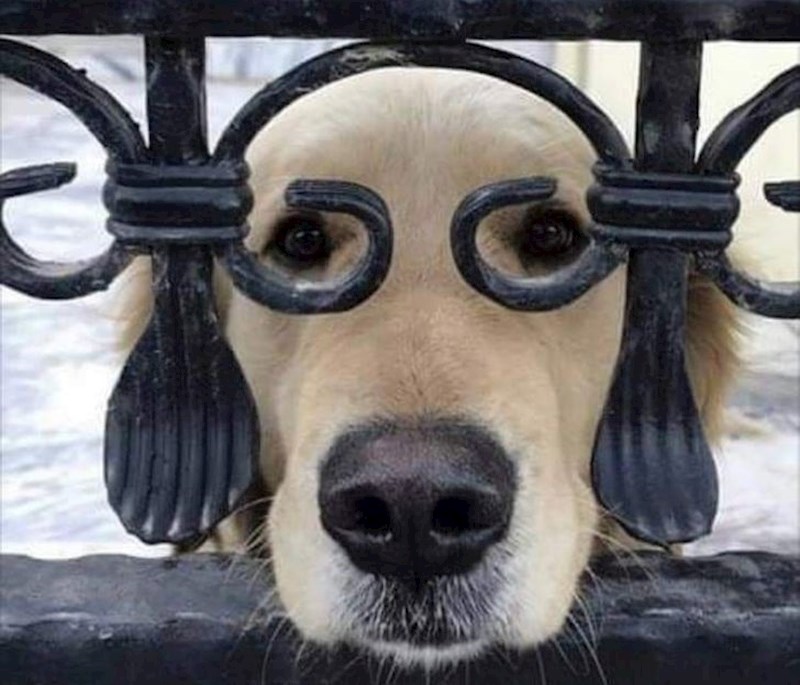 6. "Kako bi mi stale naočale?"