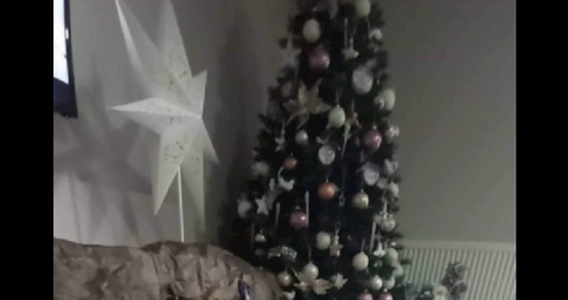 Fotka jaslica iz Imotskog nasmijala je tisuće na Fejsu zbog urnebesnog detalja, morate vidjeti!