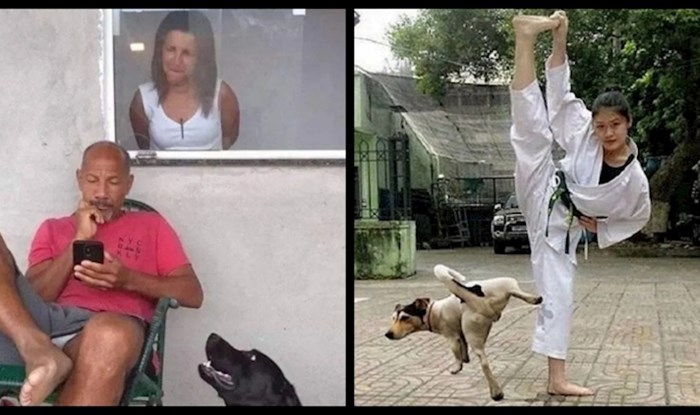 20 savršeno nesavršenih fotki za koje ćete pomisliti da su namještene, ali nisu