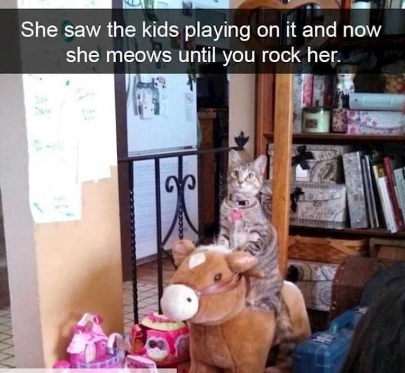 3.Vidjela je da se djeca ljuljaju pa je i ona sjela i mijaukala dok je nismo zaljuljali