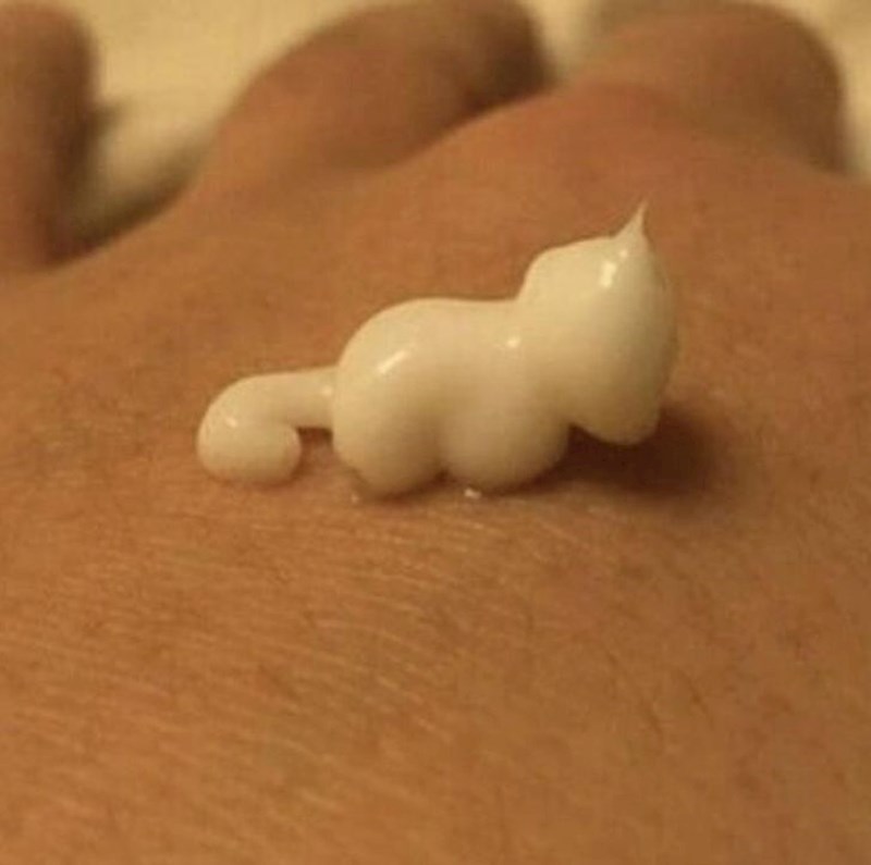 12. Losion je izašao iz tube u obliku male mace!