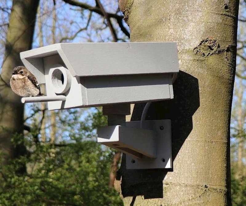 9. Hranilica za ptice u obliku kamere